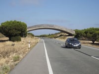 A-huge-concrete-overpass-on-the-way-to-Matalascañas-and-Huelva-designed-to-help-wild-animals-cross-768x576