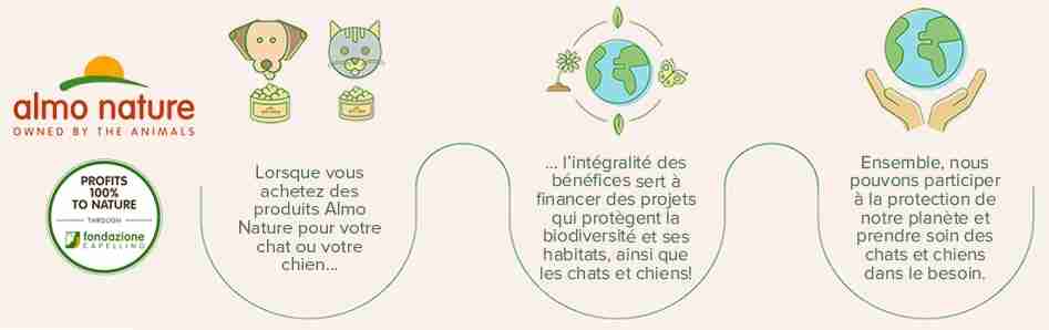 The Reintegration Economy Model