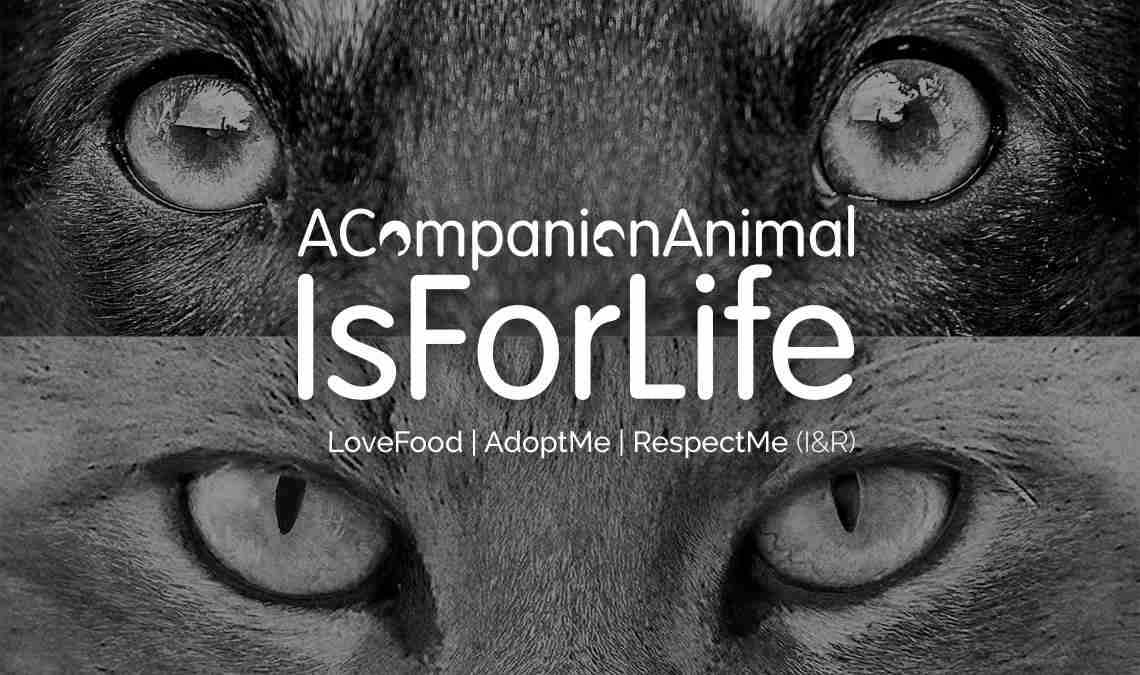 A Pet Is For Life wird zu A Companion Animal Is For Life