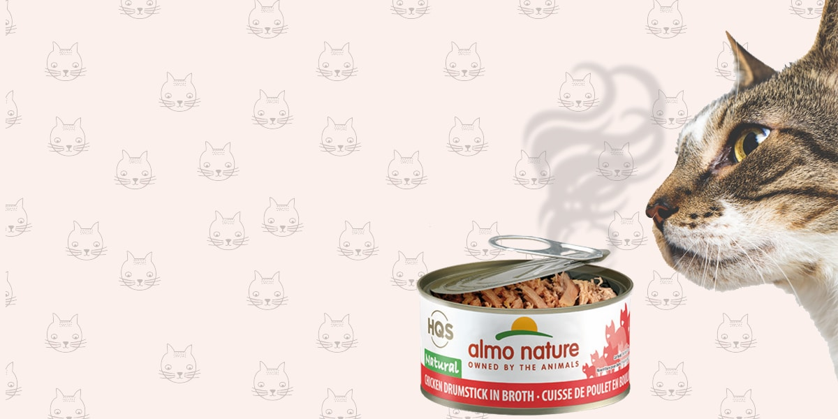 For Cats, It's All About the Aroma!