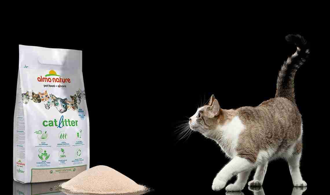 A new life - and a new cat litter – for Kit and Kat