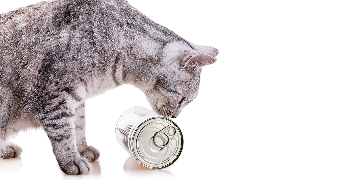 How to Read Cat and Dog Food Labels