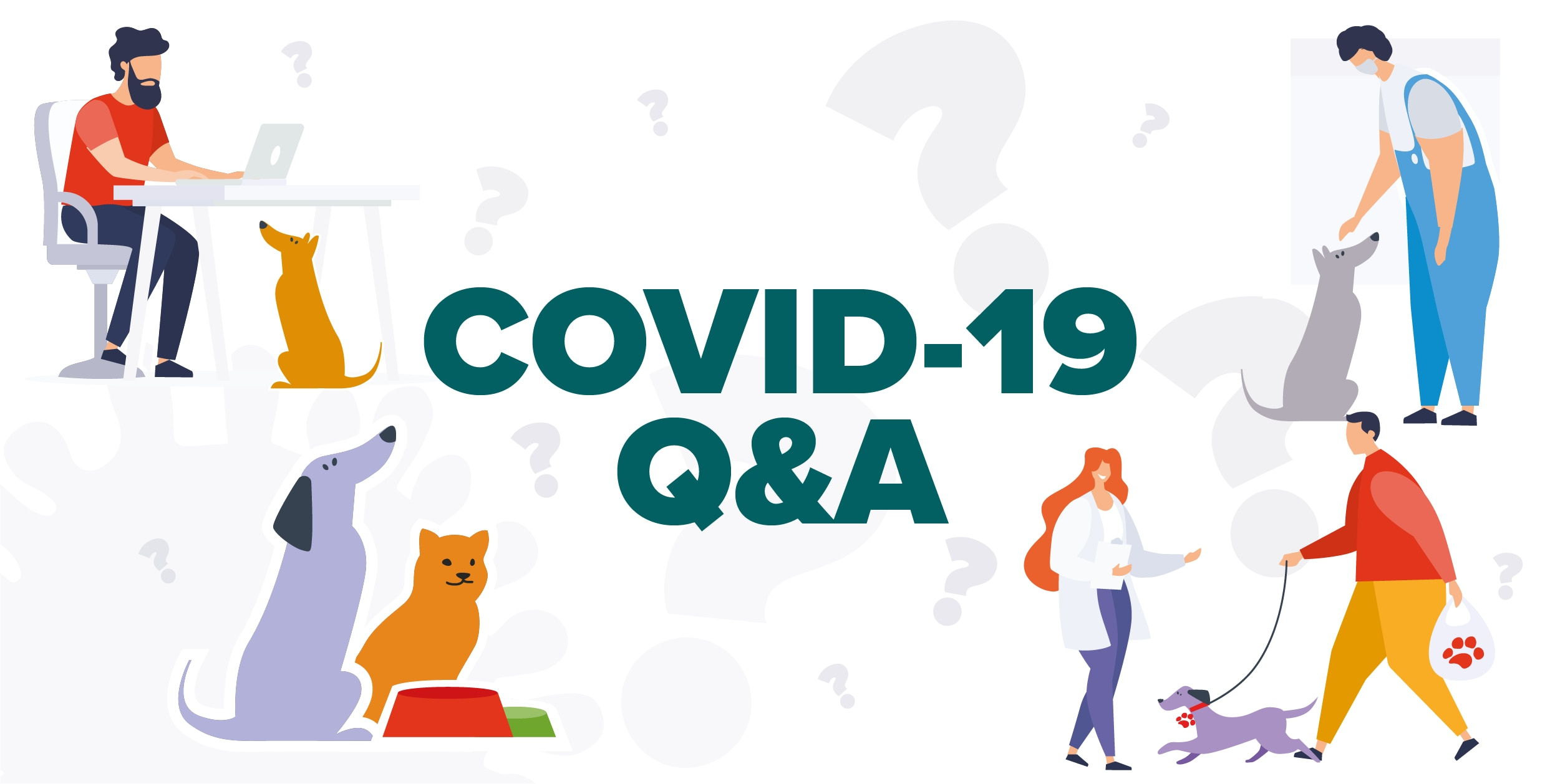 Coronavirus and Companion Animals: Q&A