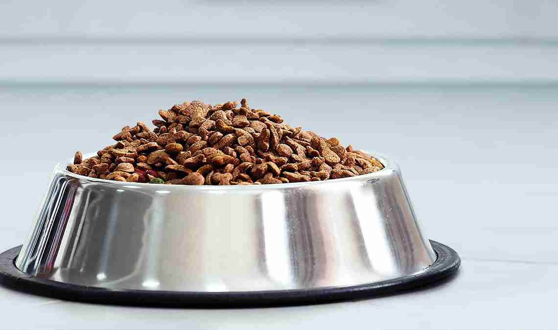 Alimentation pour chiens et chats : Quelle qualité ?