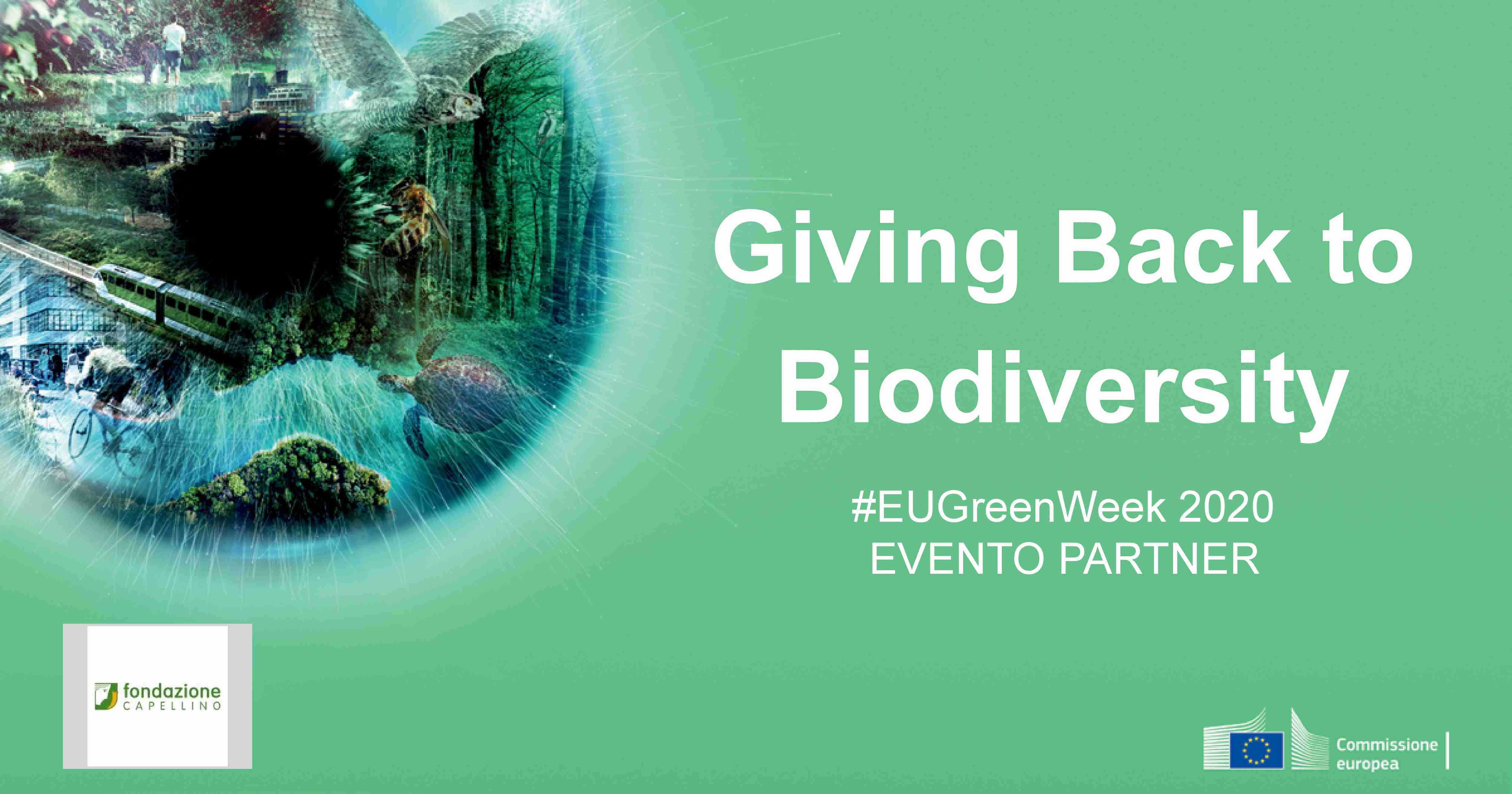 La Fondazione Capellino partner della Green Week 2020 con il webinar Giving Back to Biodiversity