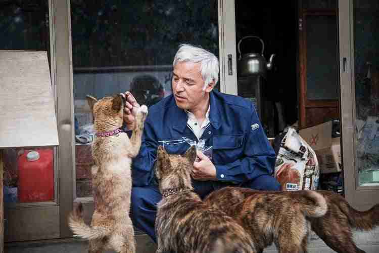 Naoto Matsumura, the guardian of animals in the de...