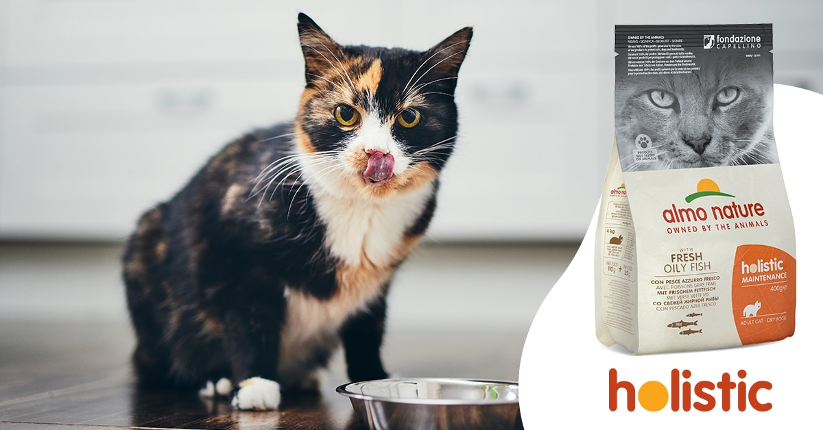 Holistic Trockenfutter für Katzen: Neue Verpackung, Gleiche Qualität