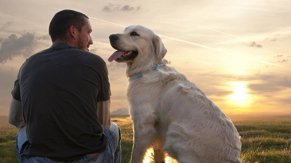 Oxytocinets roll i hund-människa relationen