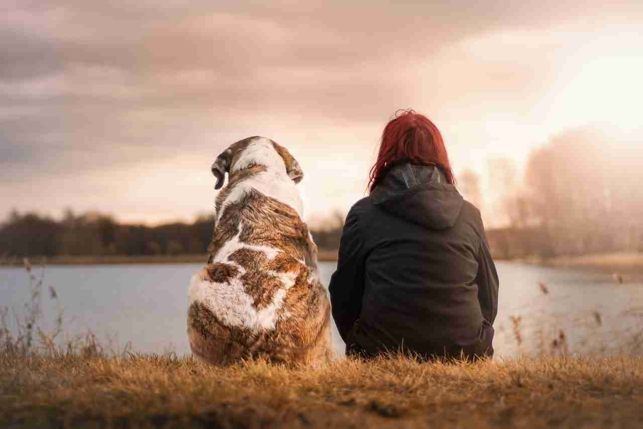 Companion Animal For Life: perché è importante e q...