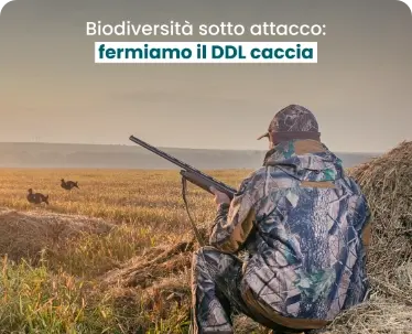 DDL Caccia. In 44 abbiamo chiesto un incontro ai Ministri Lollobrigida e Pichetto Fratin